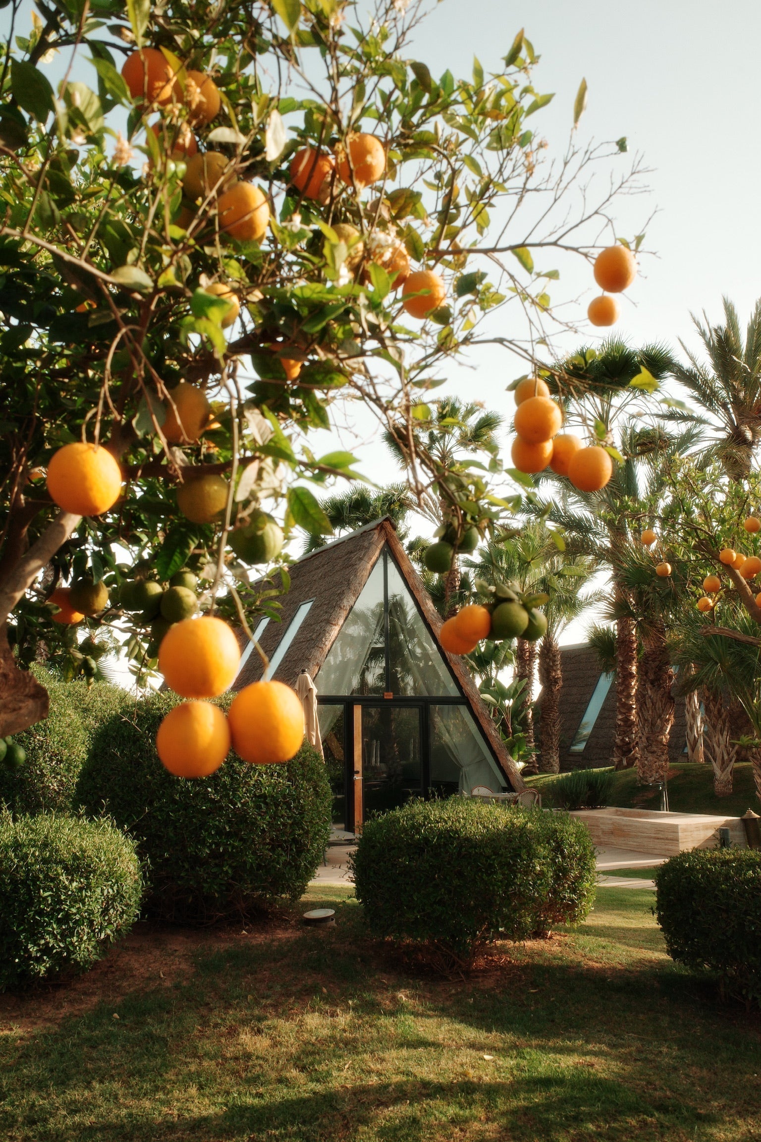 Le Domaine Limoune